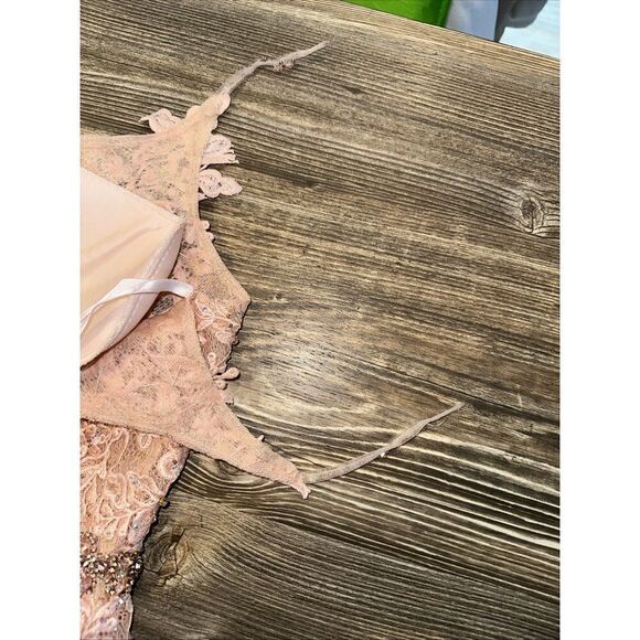 Mac Duggal A79341 Appliqué Sleeveless Plunge Neck Trumpet Blush Gown. Size 2. 17 - Picture 9 of 15